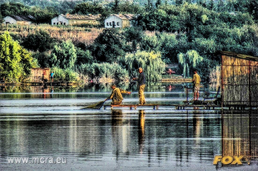 MeetCarp Romanian Awards 2013 - 1010048hdrmode2.jpg